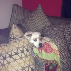 Meet your Posher, Stacey